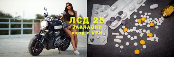винт Лагань