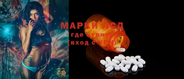 молекула духа Кулебаки