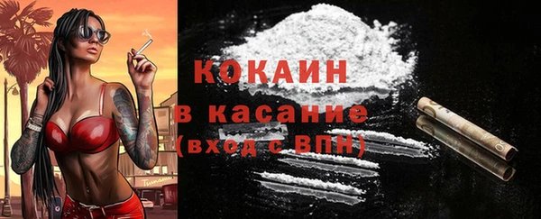 молекула духа Кулебаки