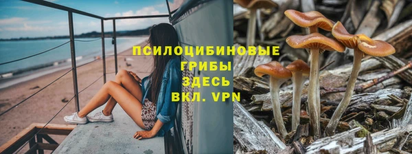 apvp Ладушкин
