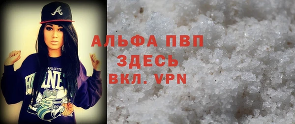винт Лагань