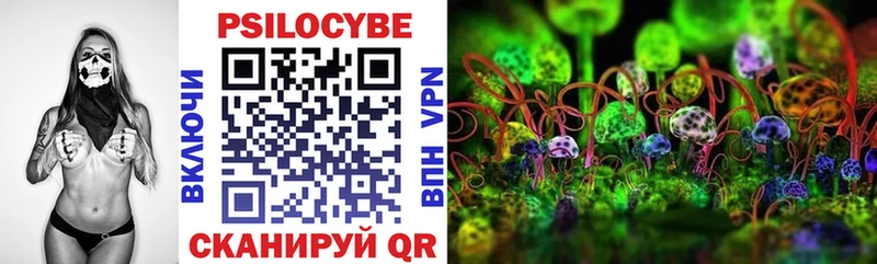 Псилоцибиновые грибы Psilocybine cubensis  Чудово 